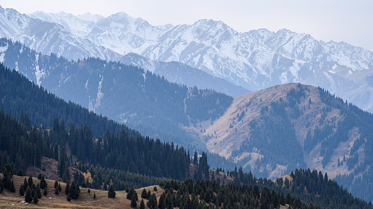 Discovering Almaty: Mountain mornings, street art and market flavours