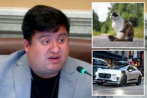 Minneapolis councilman mocked after claiming self-driving cars are ‘murdering’ pets: ‘Hide your cats’