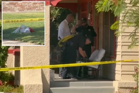 ‘Drunk’ off-duty ICE agent shot after he’s rousted from sleep on California family’s front lawn