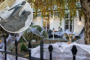 Halloween warning from California wildlife experts that will change the way you decorate