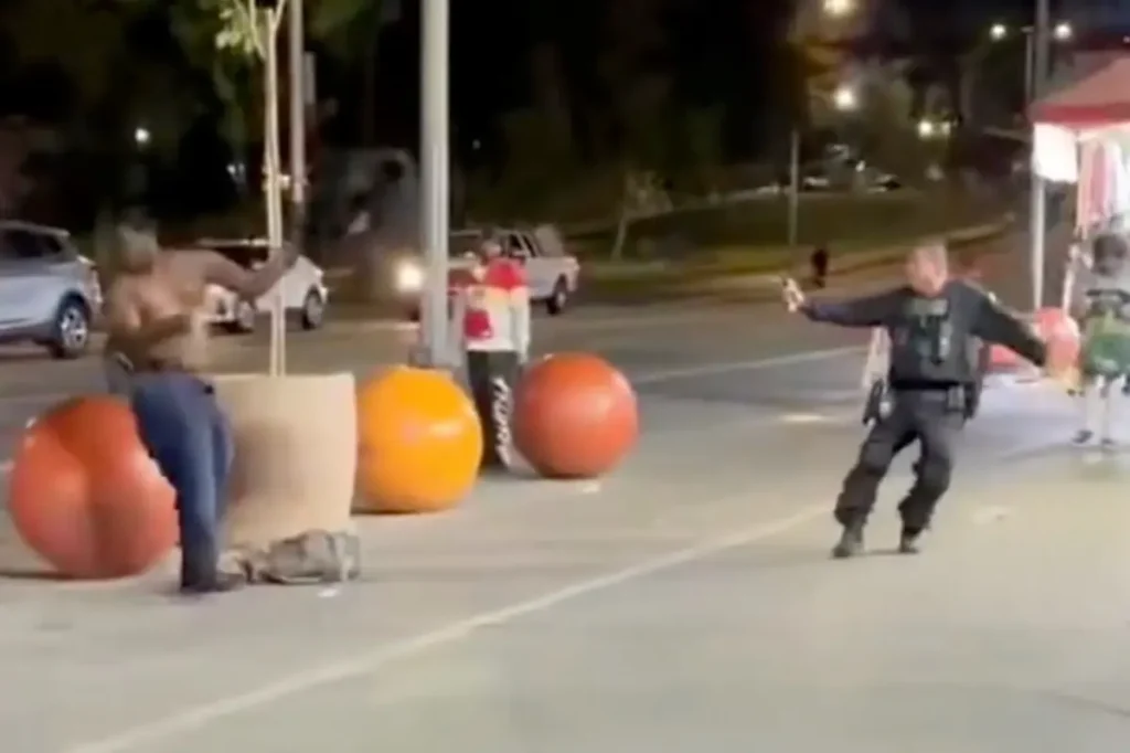Wild moment Steve Hilton finds himself in the middle of maniac fighting security on streets of LA