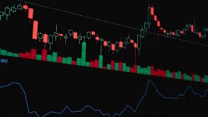 Coinbase Raises Questions About SpaceX’s Bitcoin Holdings
