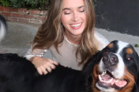 What Is ‘Dunkin’s Law’? Bill Introduced After Influencer’s Dog Dies