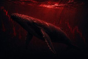 Memecoin Crashes 95% After Posts Deleted: Another Rug Pull?