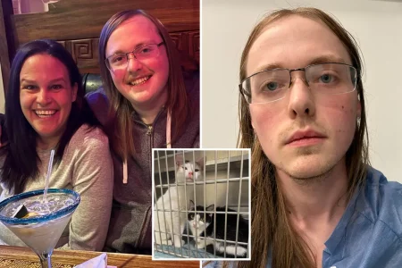 Massachusetts nutjob ‘blew madre to pieces’ after spat over mom’s 84 fostered cats: report