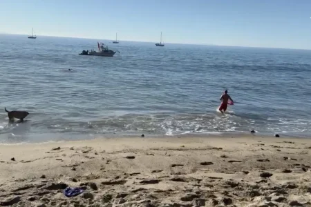 Kayaker attacked by a shark off Paradise Cove in Malibu as dramatic video emerges: report