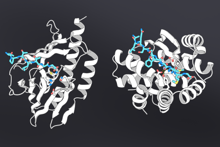 UW protein institute led by Nobel winner unveils its first AI model co-developed with Nvidia