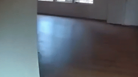 Copper theft suspect’s daring escape caught on bodycam video before deputies discover what he left behind