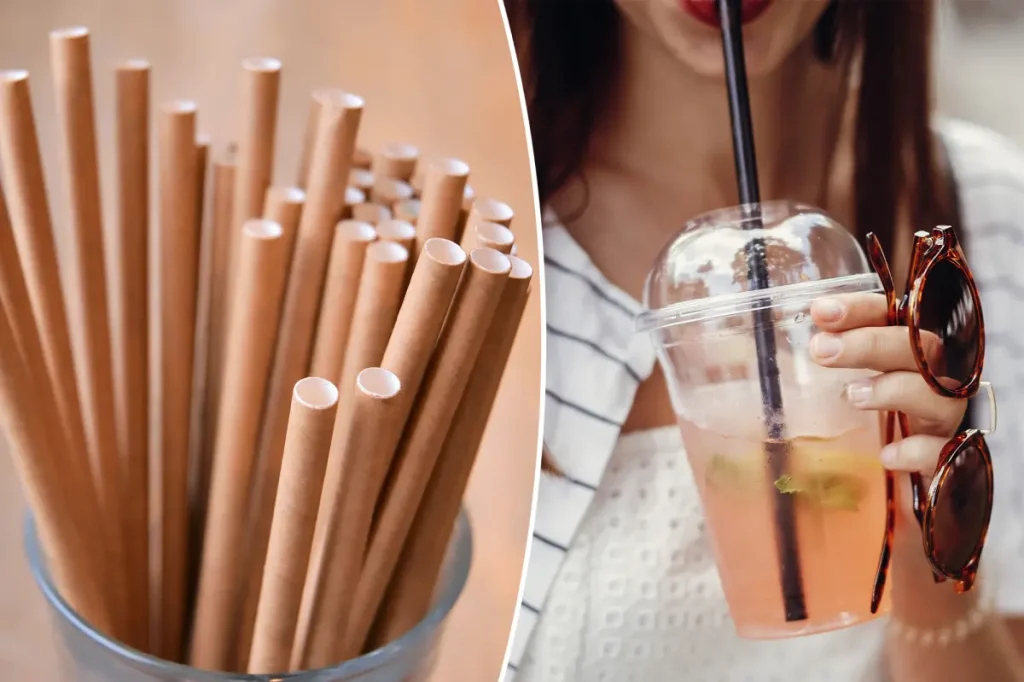 Paper straws worse for the environment than plastic ones, says study